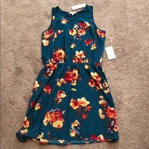 Stitch Fix, 41 Hawthorn Evander Dress